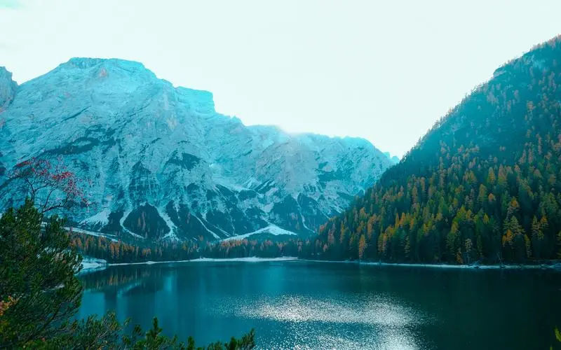 工业高端